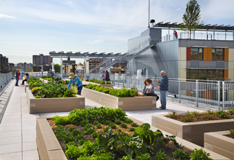 Community gardening plots encourage residents to grow fruits and vegetables.: Photograph © David Sundberg/ESTO